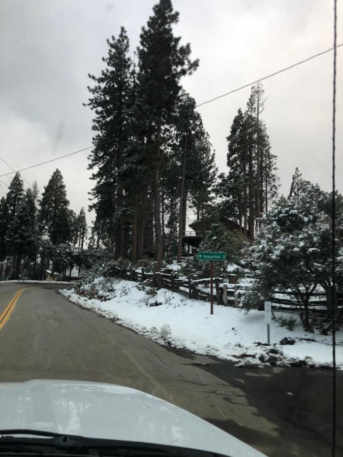 Sequoia National Forest Cabinh Panorama Heights المظهر الخارجي الصورة
